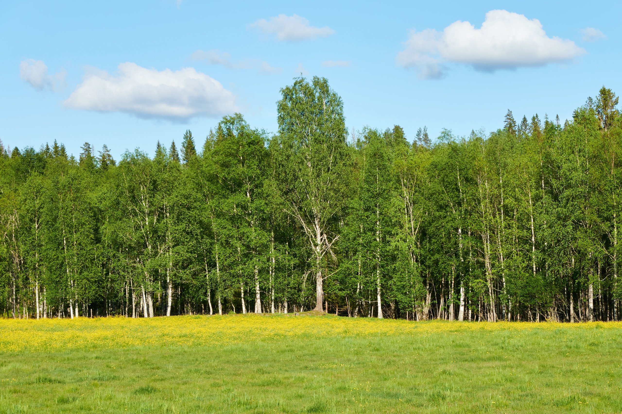 2024 05 24 Sverige 0123